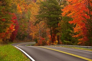 Ultimate Excursions Explores 3 Amazing Scenic Drives in the U.S. 